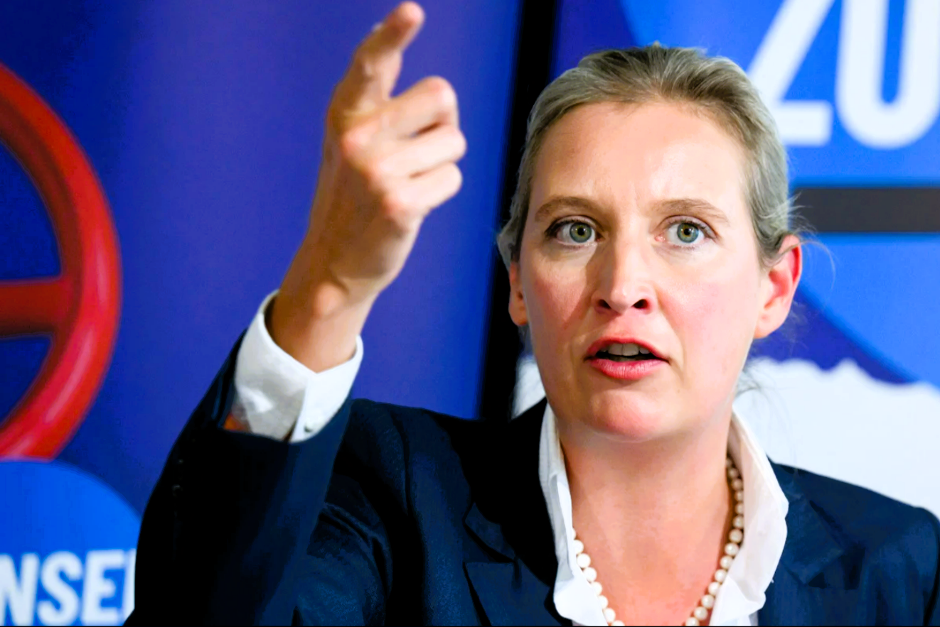 Alice Weidel greift den Kanzler an! AFD attackiert Olaf Scholz scharf!