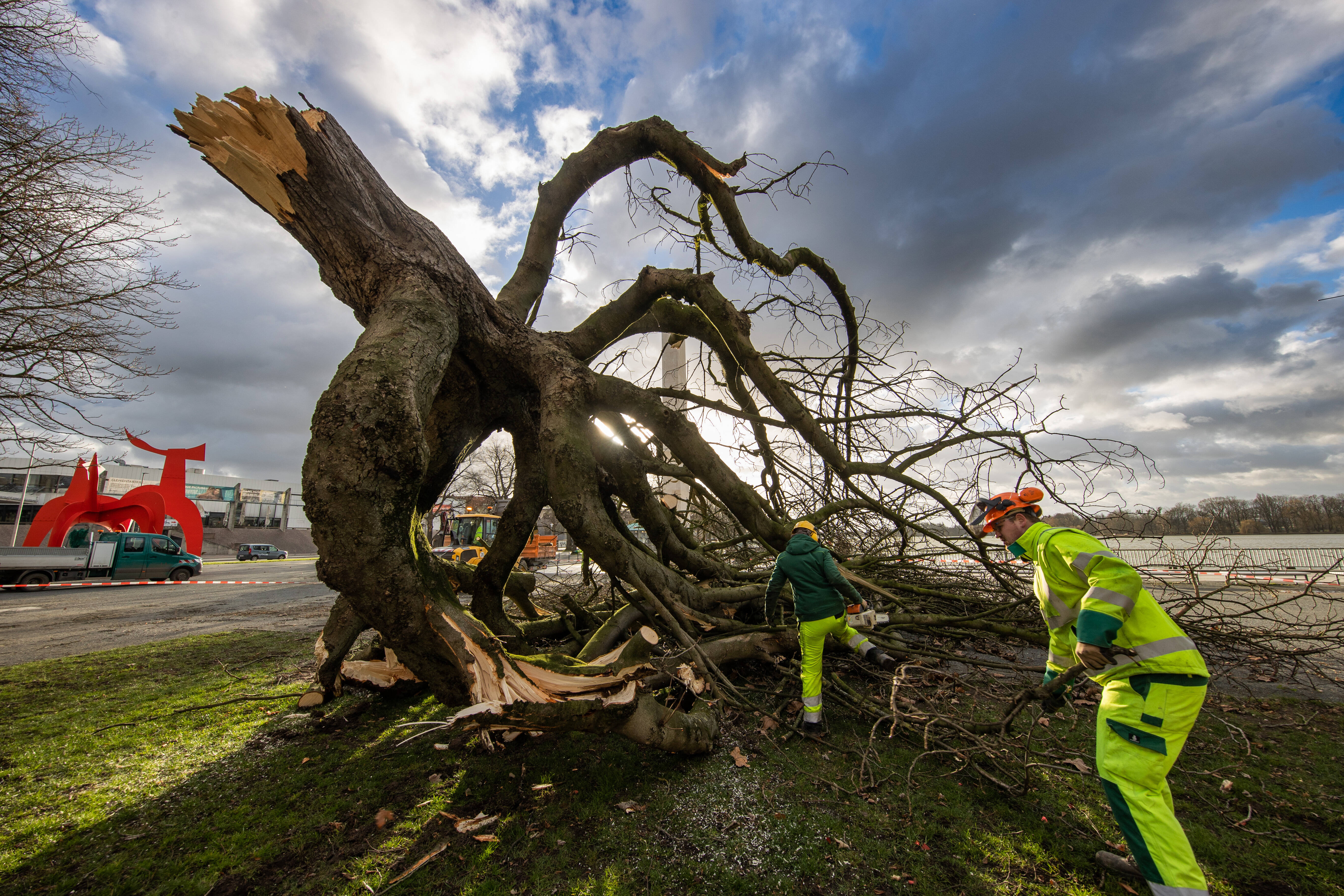 Wetter-Chaos! Sturm schleudert Baum auf Fahrzeug - Unfallopfer erliegt den Verletzungen
