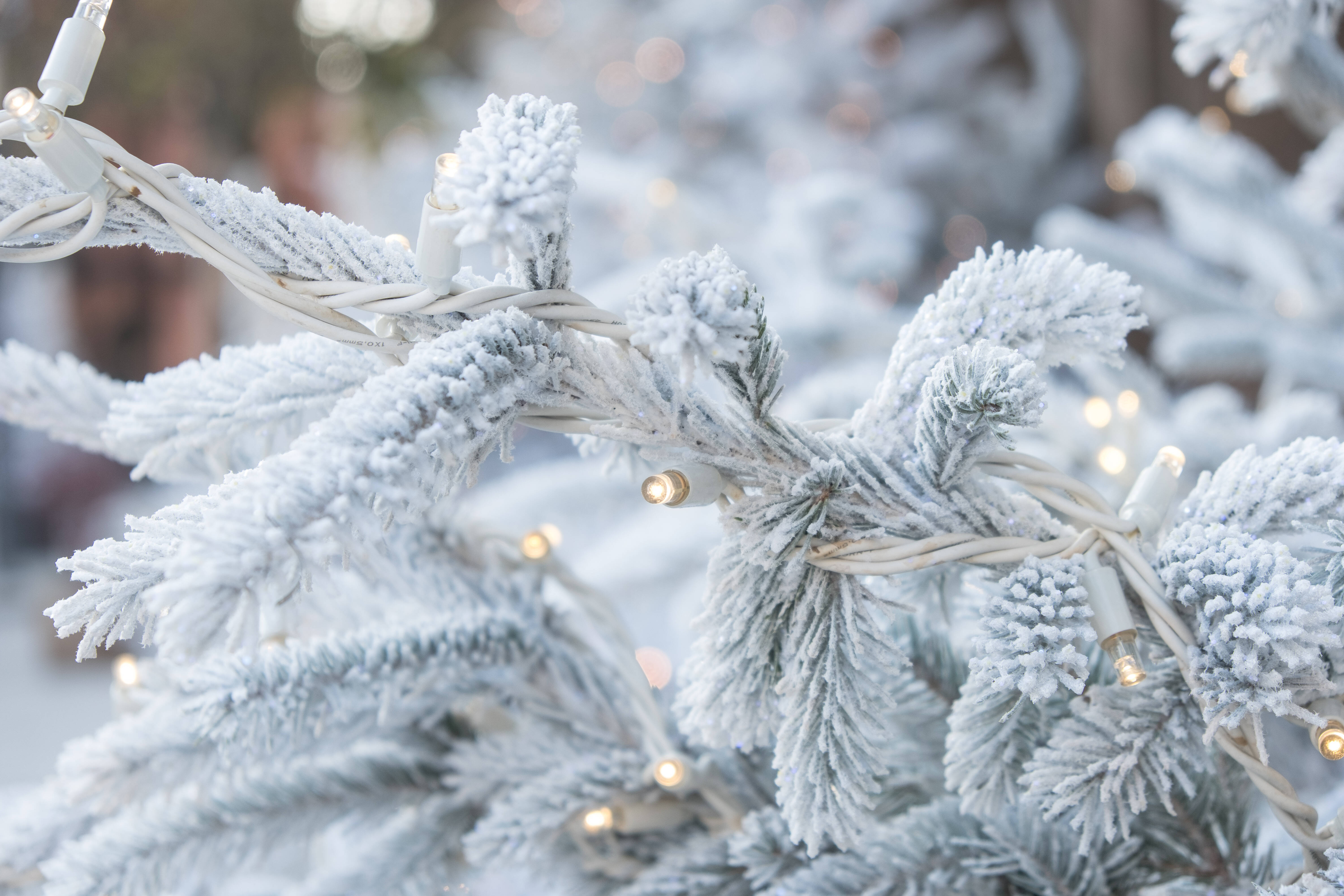 Schnee zum 2. Advent! Kältewelle in Deutschland  - Das sagen die Meteorologen